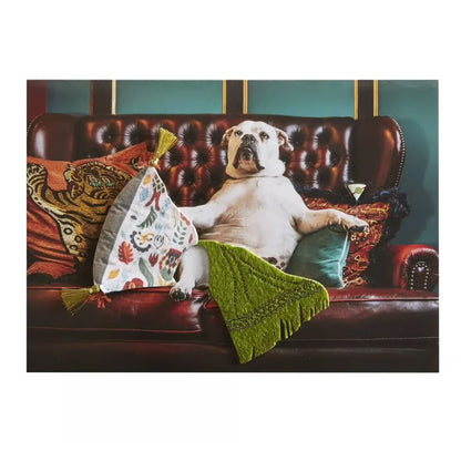 Dog On Couch Birthday Card