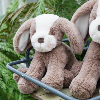 Little Floppy Mutt - Toffee