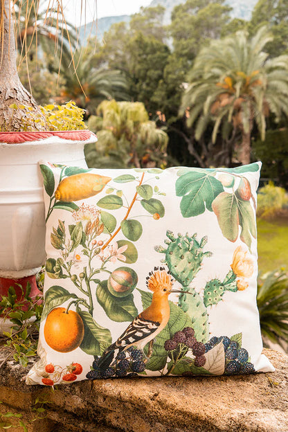 Cushion - Montedora