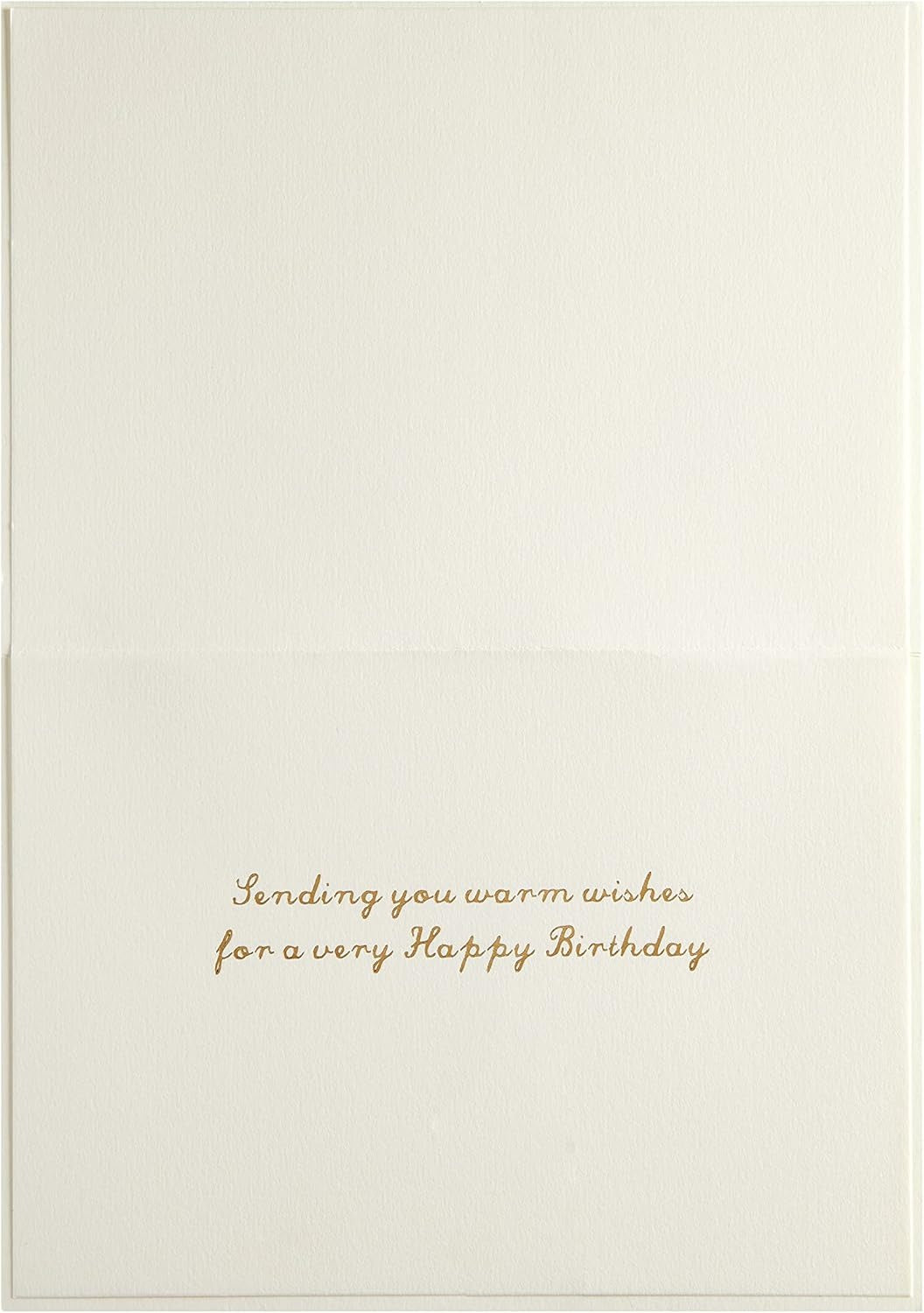 Row Of Vases And Plants Birthday Card