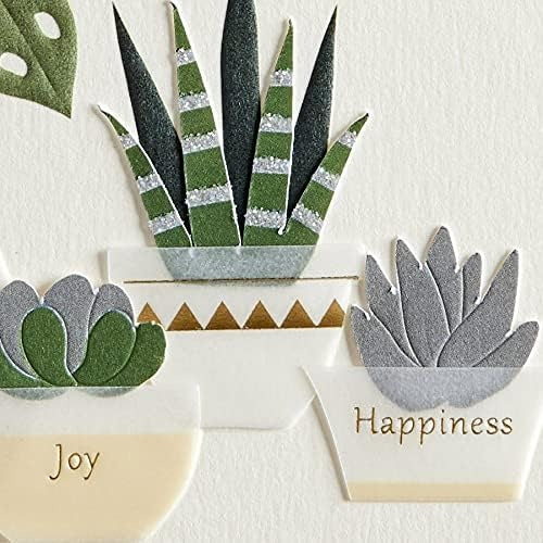 Row Of Vases And Plants Birthday Card