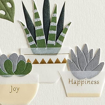 Row Of Vases And Plants Birthday Card