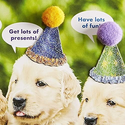 Row Of Puppies Birthday Card