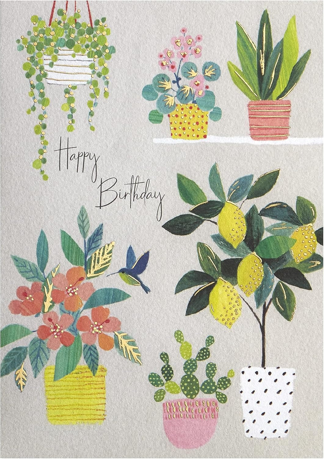 Lemon Tree And Plants Birthday Card