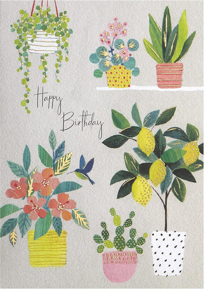 Lemon Tree And Plants Birthday Card
