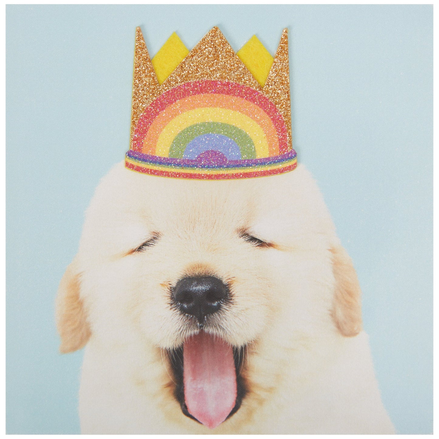 Puppy In Rainbow Crown Birthday Card