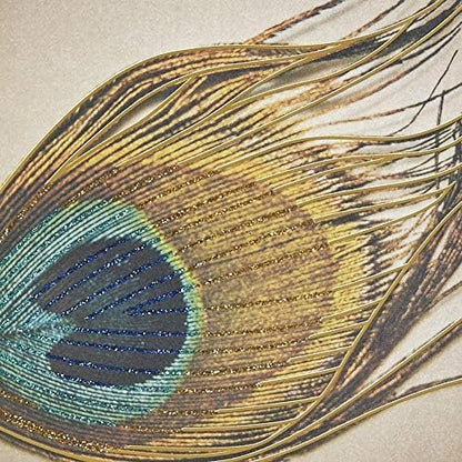 Peacock Feather Blank Card