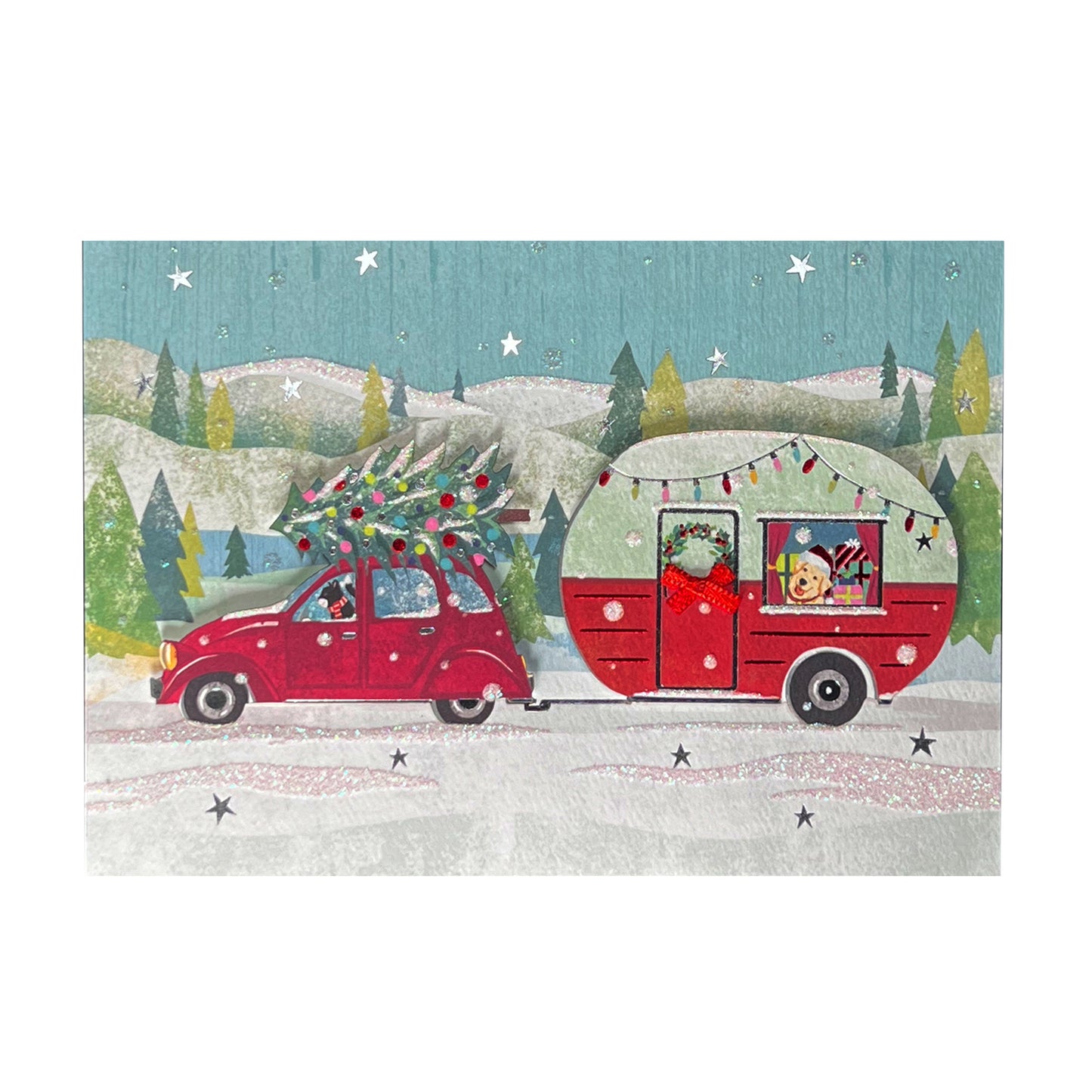 Camper with Dog and Cat Christmas Card