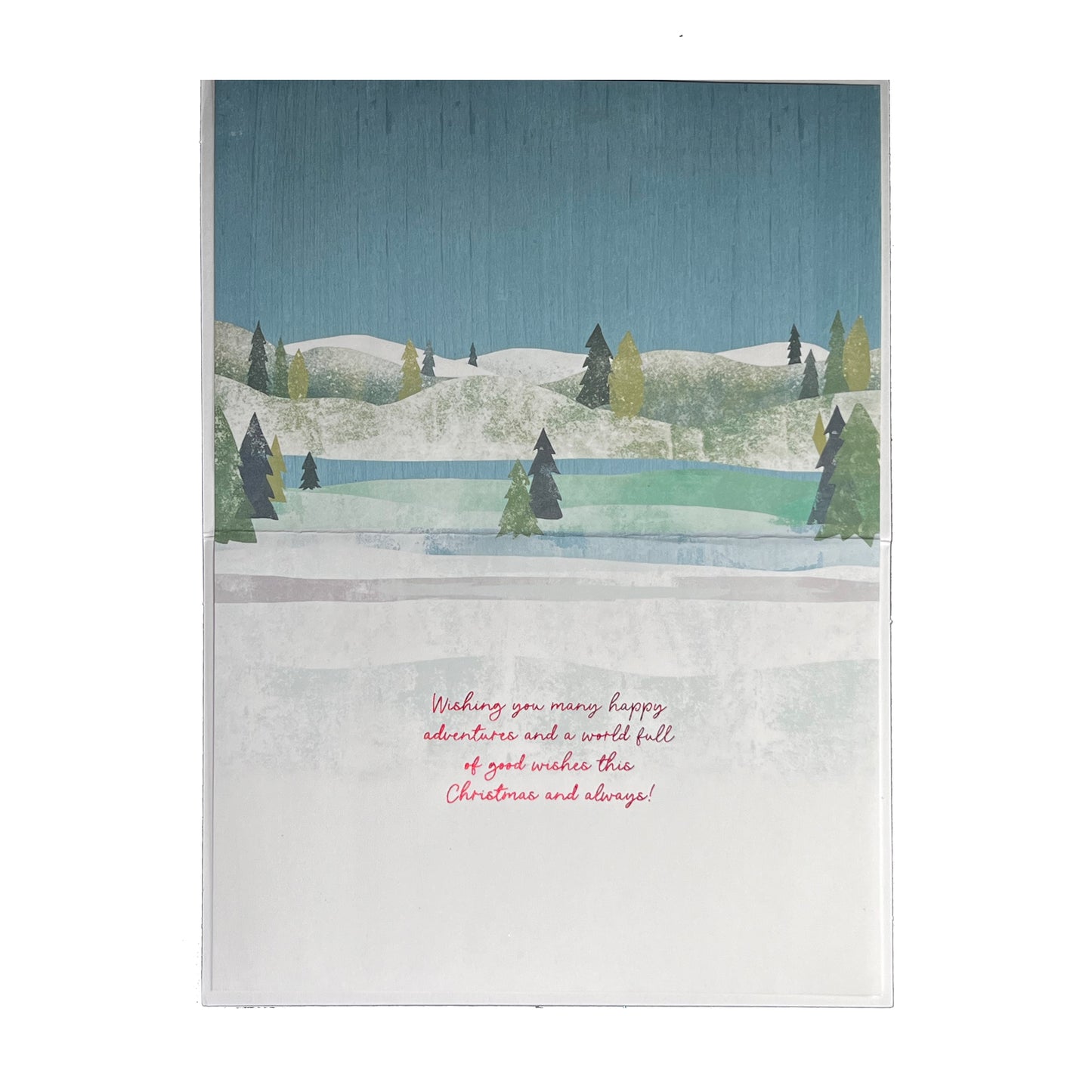 Camper with Dog and Cat Christmas Card