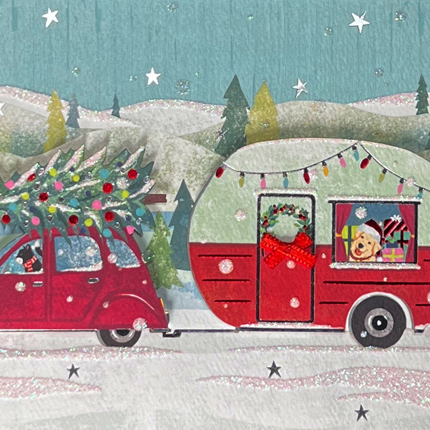 Camper with Dog and Cat Christmas Card