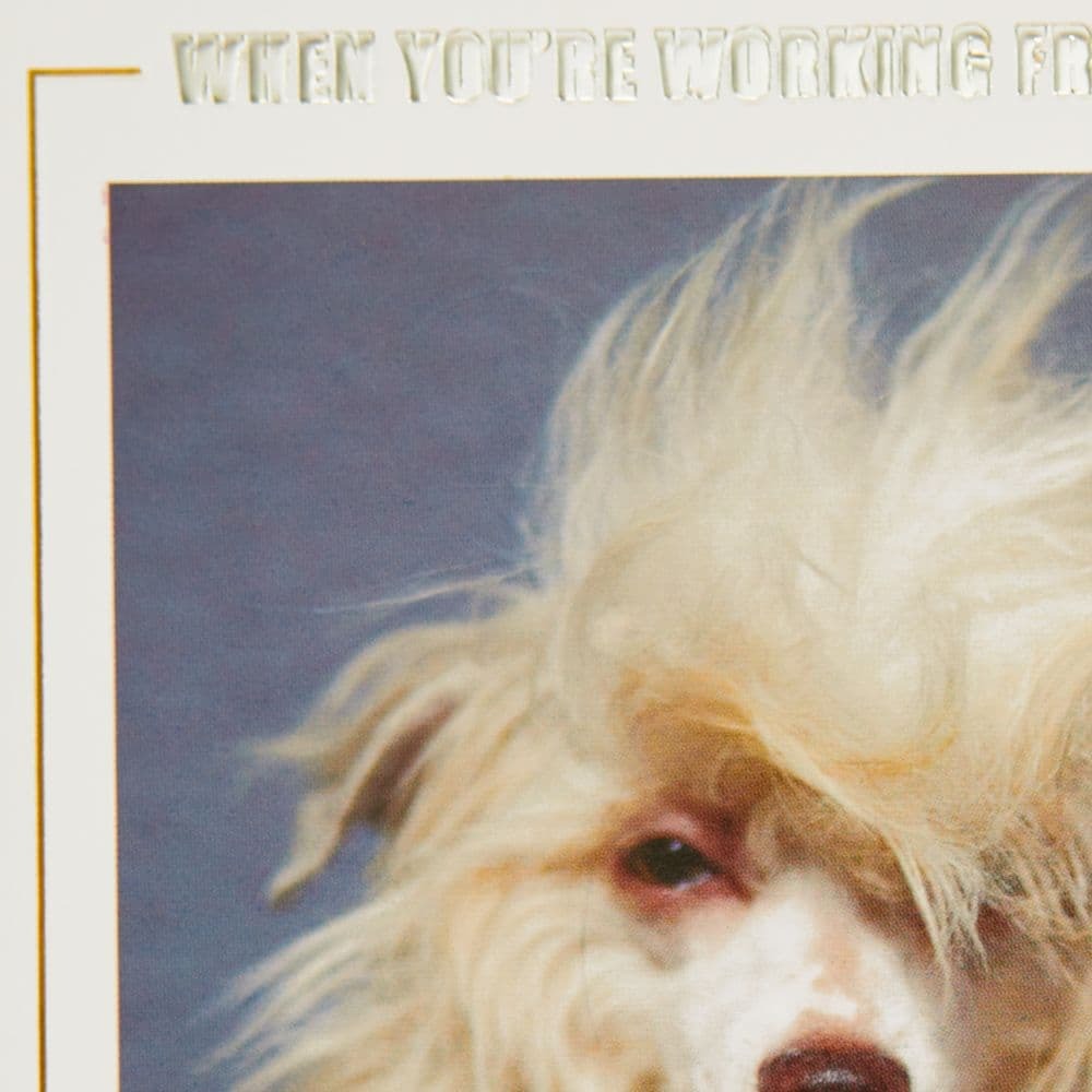 Zoom Meeting Dog Friendship Card