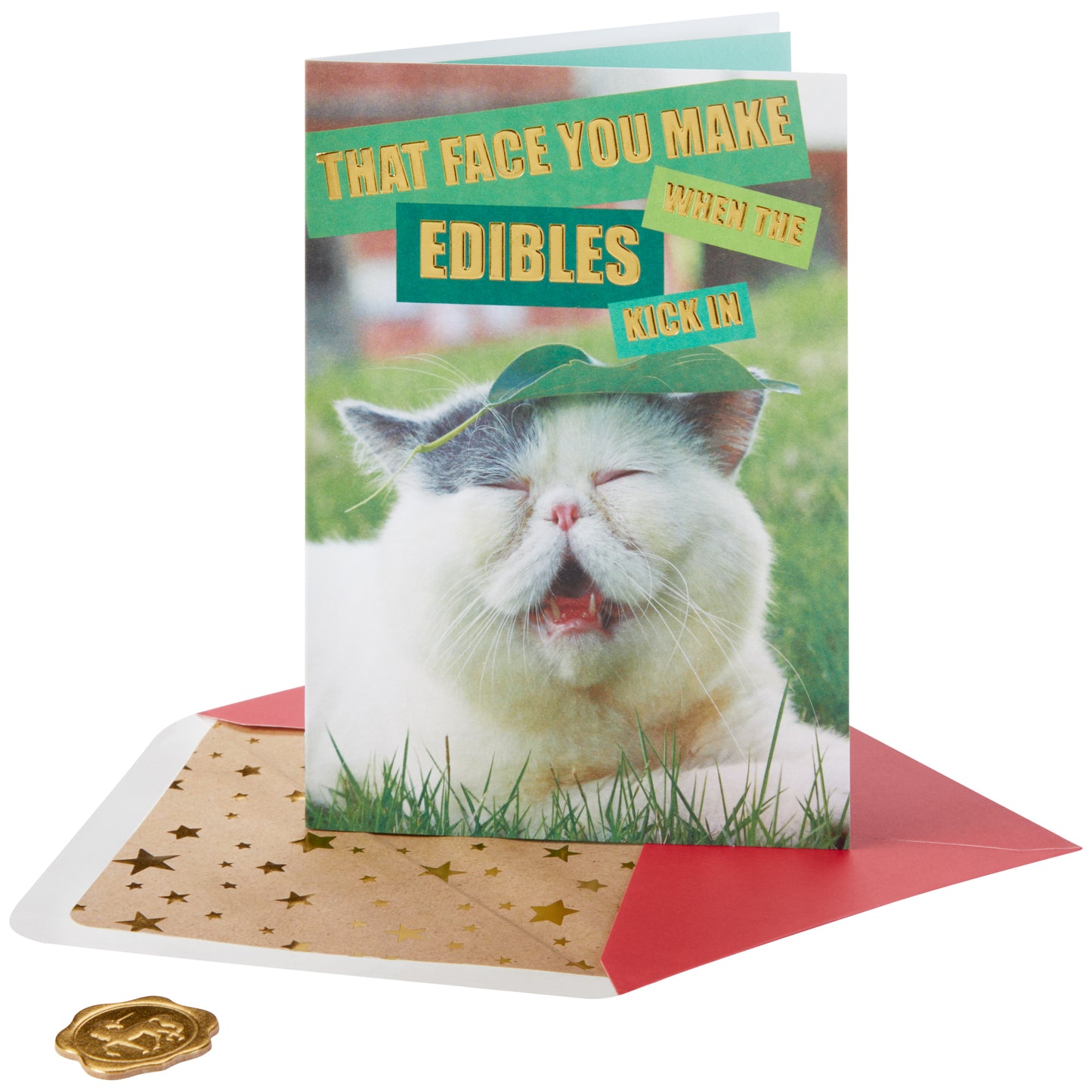 Edibles Cat Meme Friendship Card