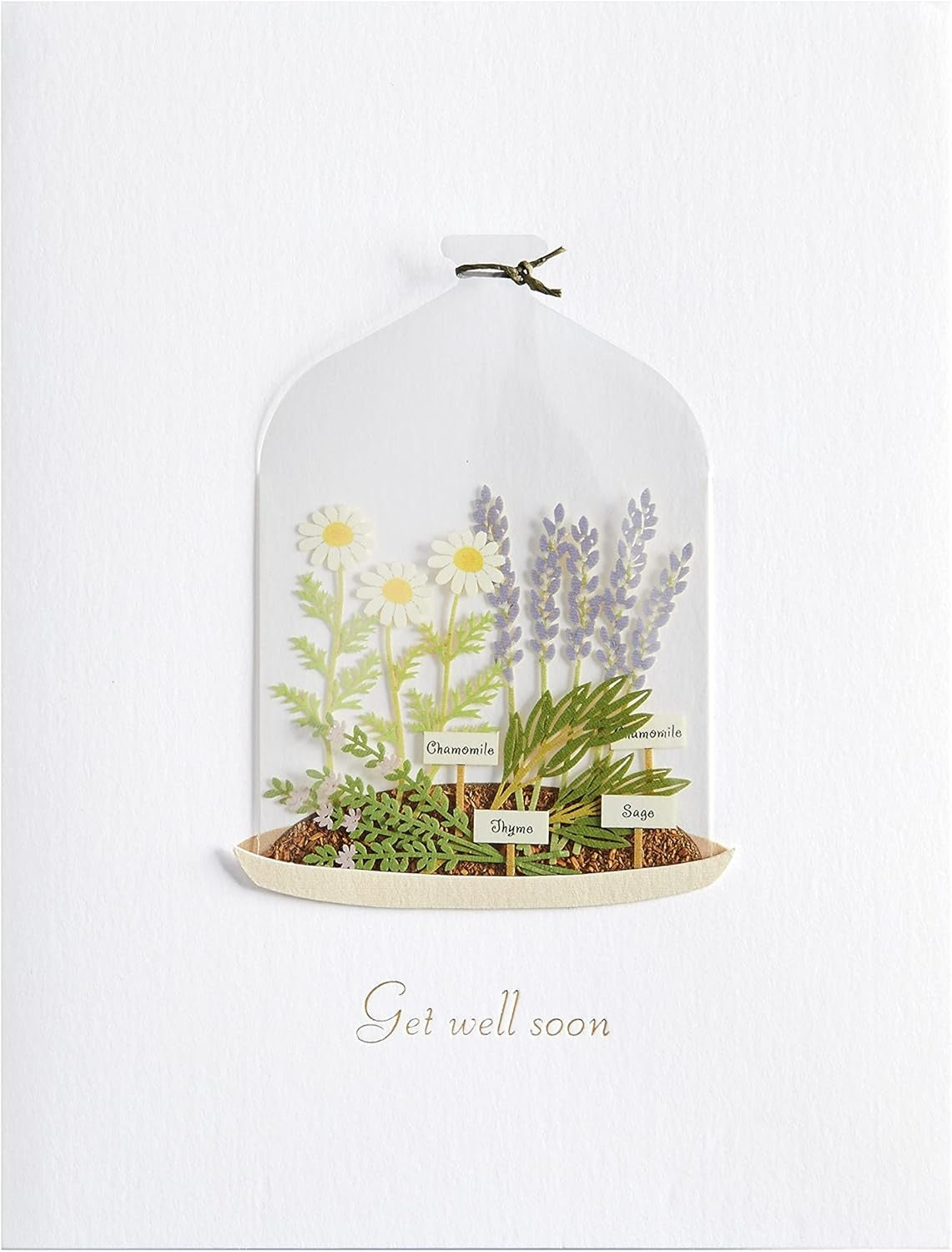 Plants in Cloche Get Well Card