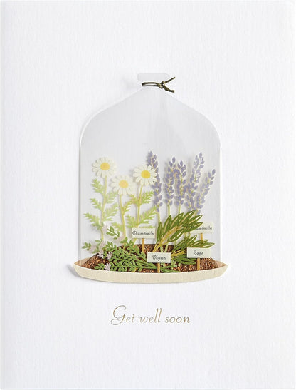 Plants in Cloche Get Well Card