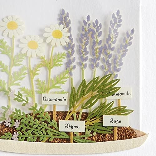 Plants in Cloche Get Well Card