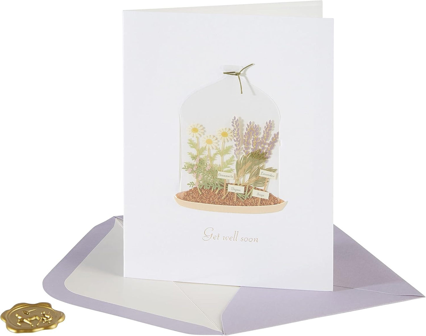 Plants in Cloche Get Well Card