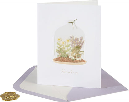 Plants in Cloche Get Well Card