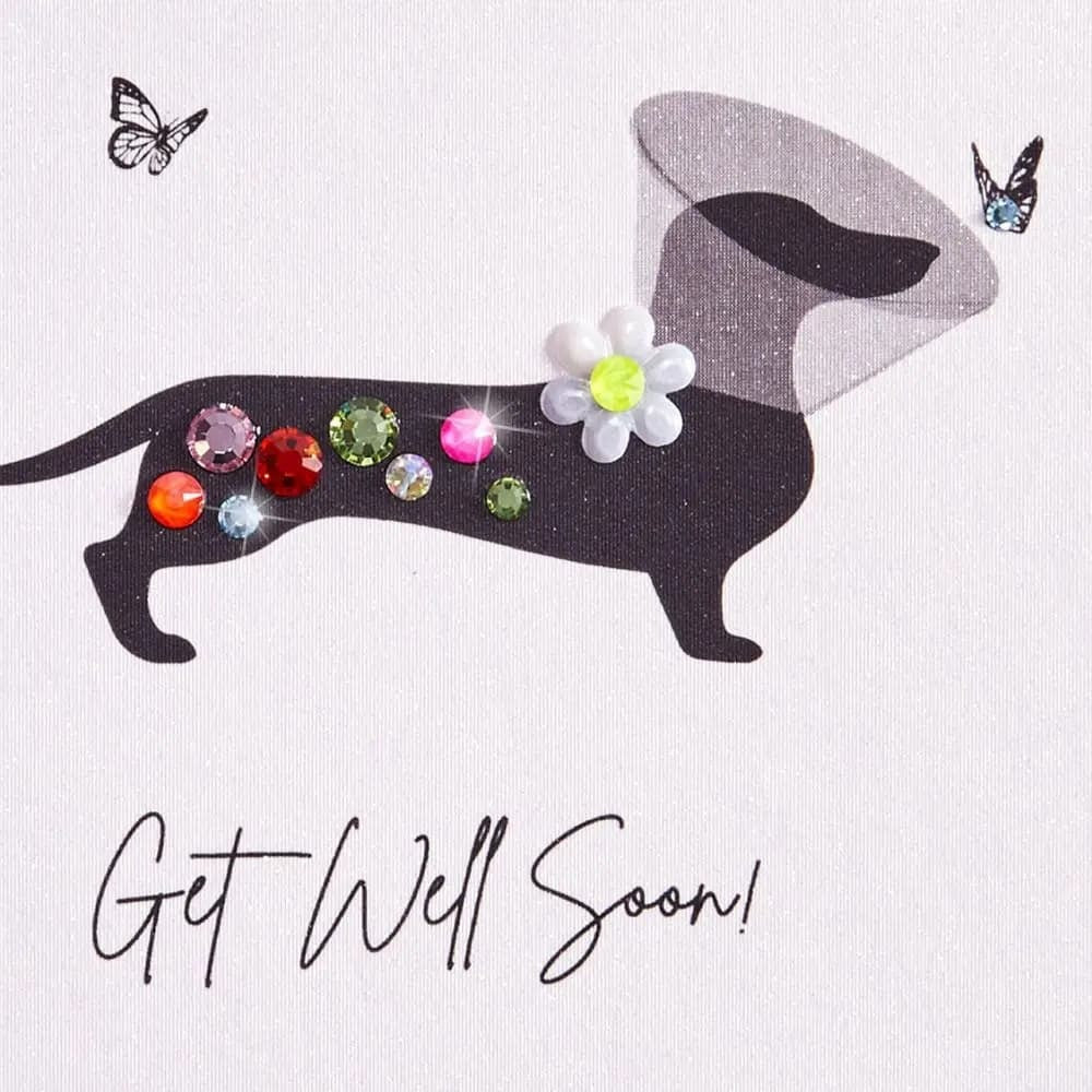 Dog Get Well Card
