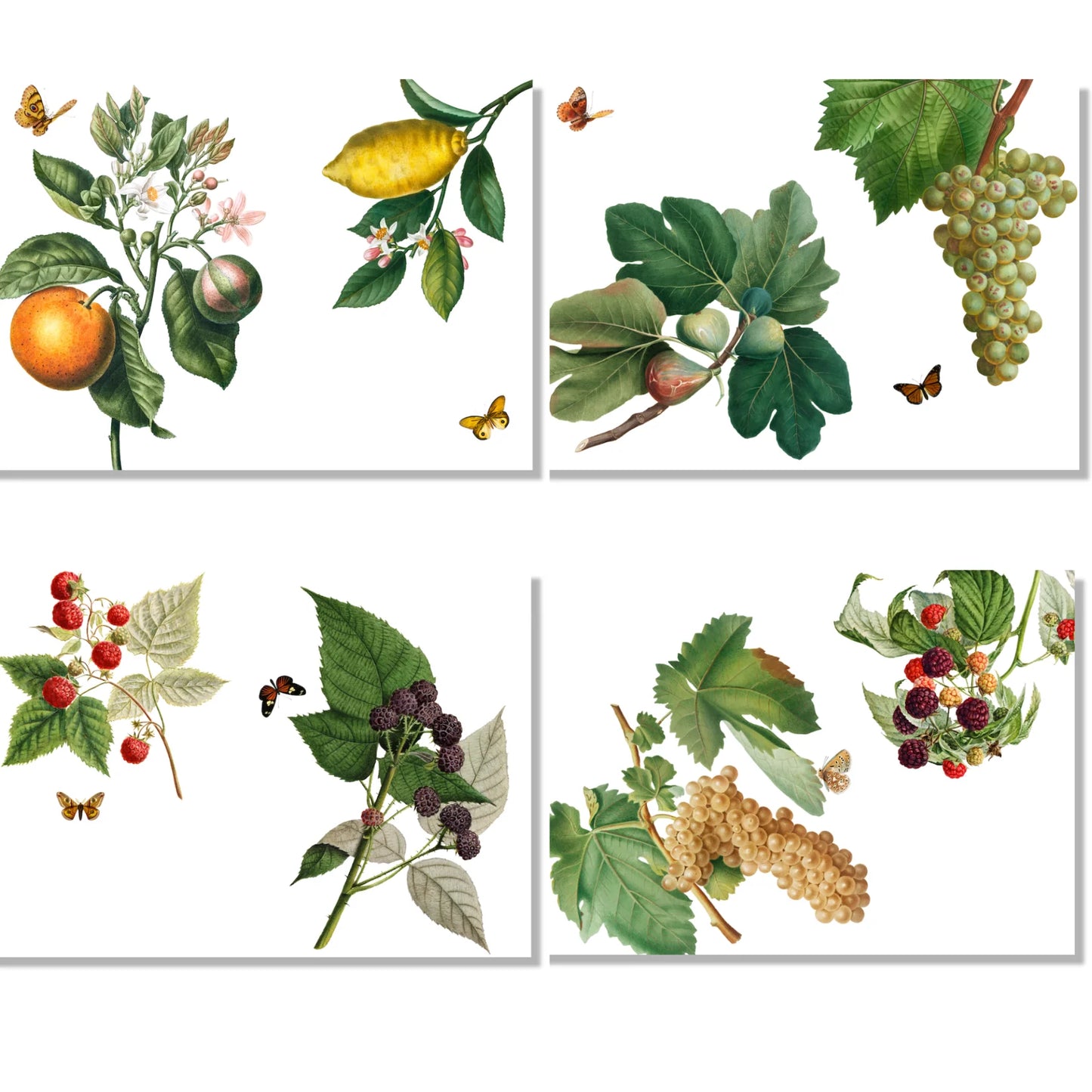 Placemats - Montedoro Set of 4