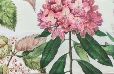 Placemats - Hellaborus Set of 4