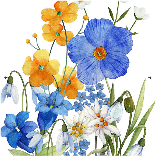 Kitchen Towels - Alpi Floral