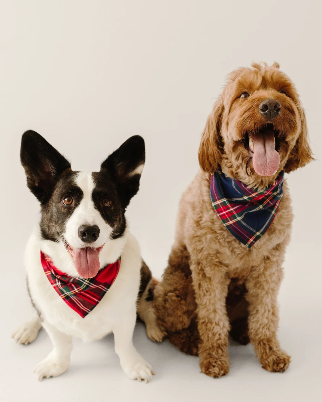 Imperial Tartan Dog Bandana