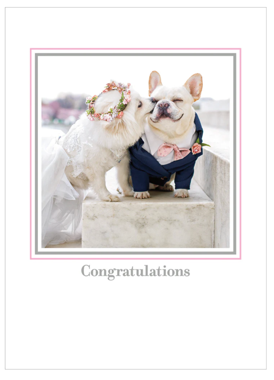 Wedding Dogs Sebastian & Luna Wedding card