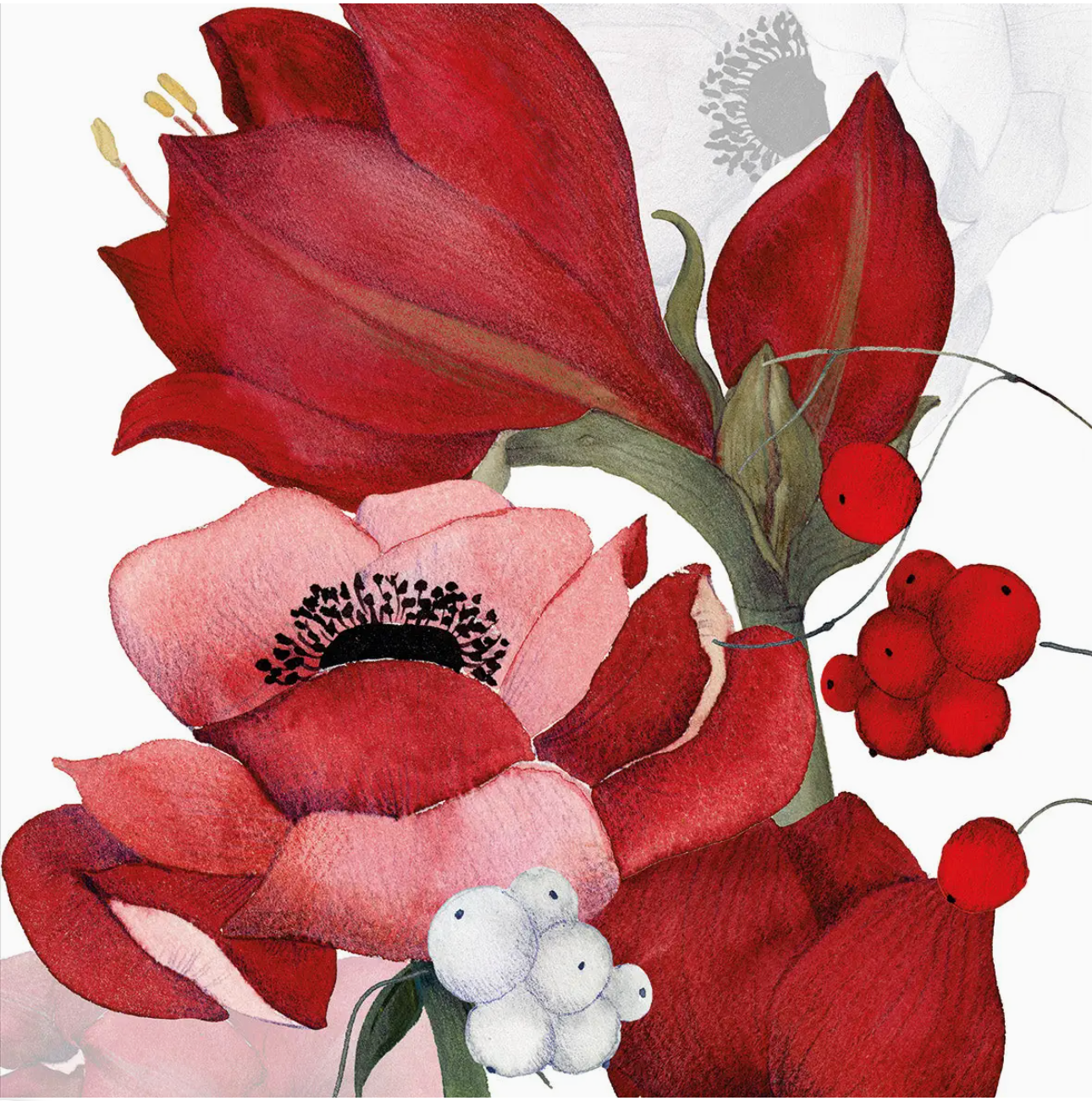 Kitchen Towels - Anemoni VR 2