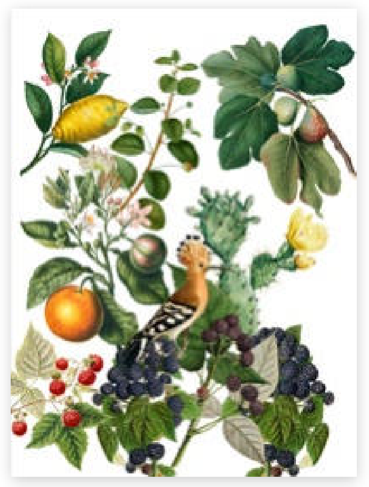 Tea Towel - Montedoro