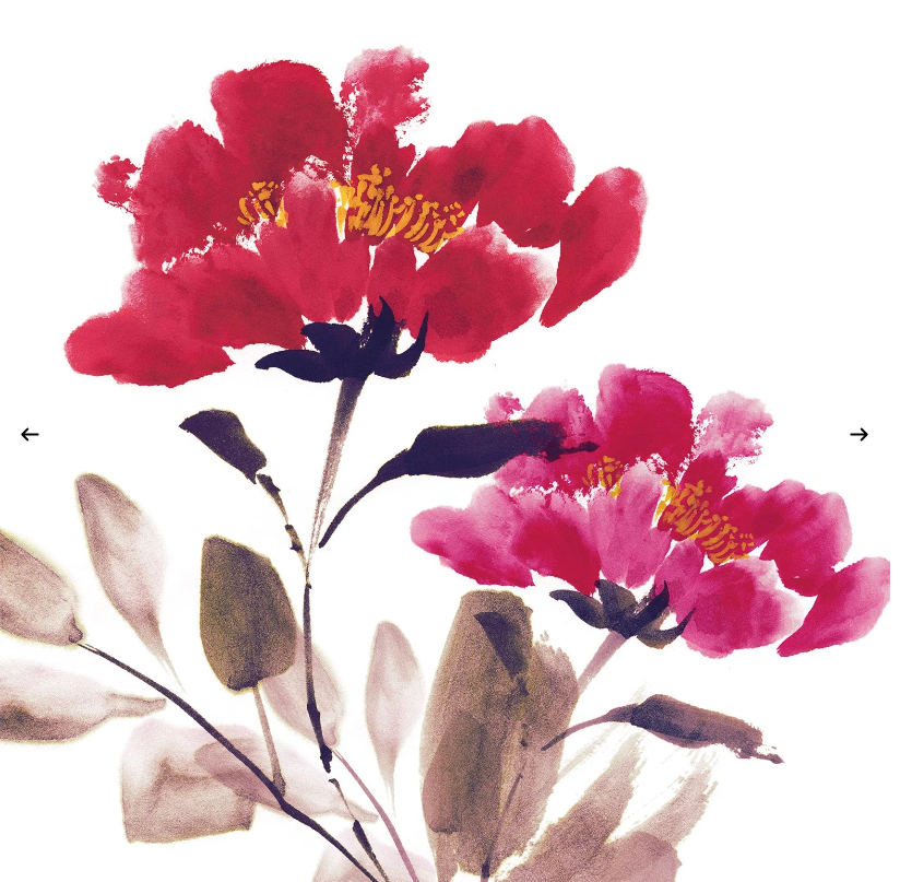 Kitchen Towels - Hanami