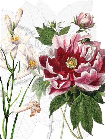 Table Runner - Dafne
