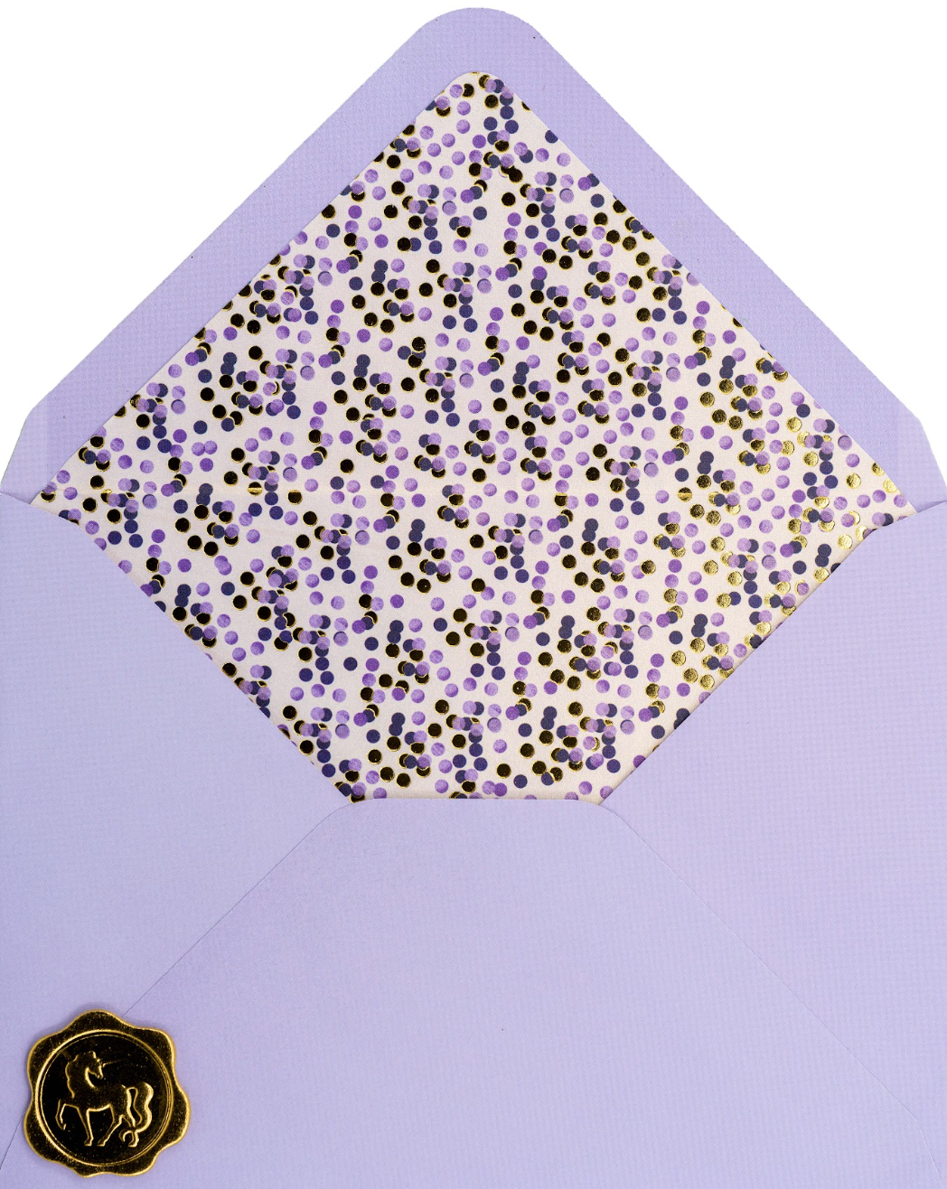 Fuchsias Hummingbird Birthday Card NEW