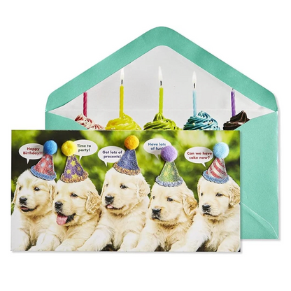 Row Of Puppies Birthday Card