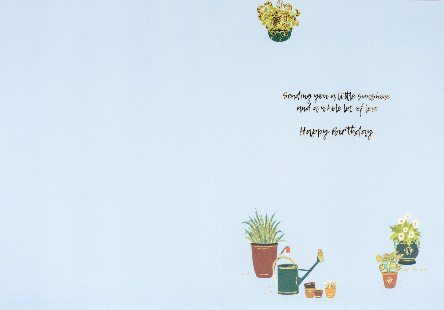 Potting Shed Birthday Cards NEW