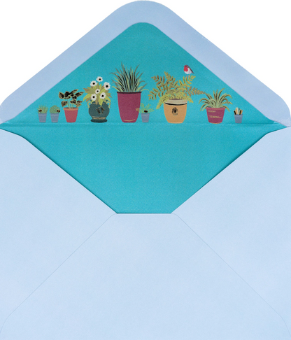 Potting Shed Birthday Cards NEW