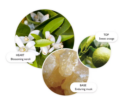 Orange & Bergamot Hand Cream