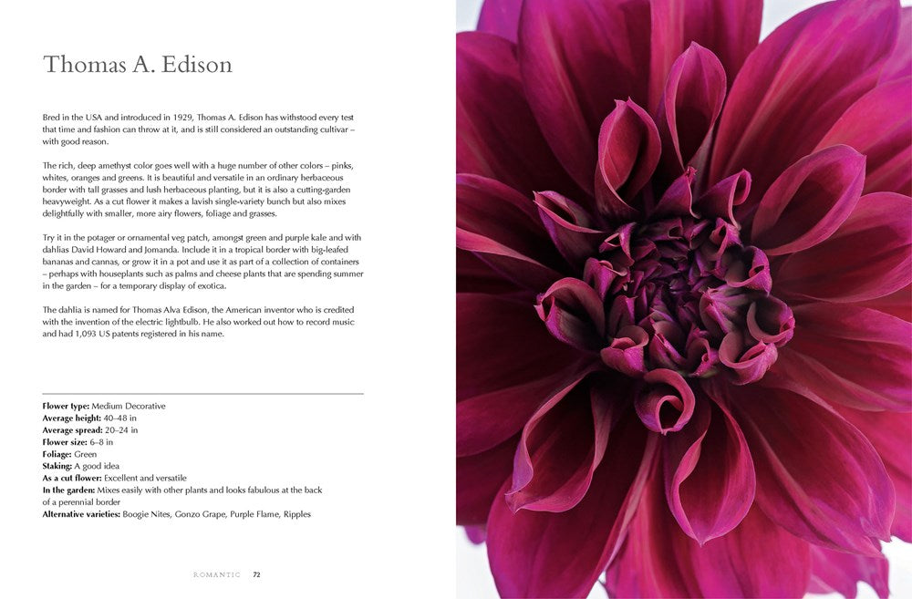 Dahlias; Beautiful Varieties For Home & Garden Book