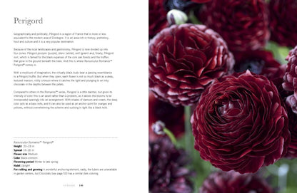 Ranunculus: Beautiful Varieties For Home and Garden Book