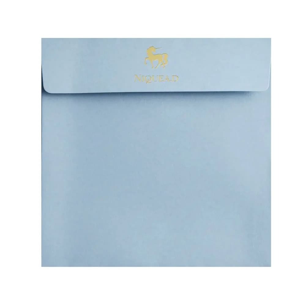 Dolphins Anniversary Card