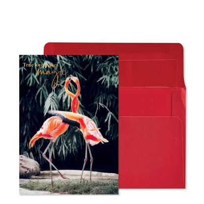 Flamingos Anniversary Card
