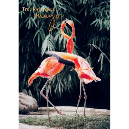 Flamingos Anniversary Card