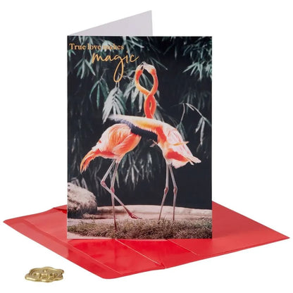 Flamingos Anniversary Card