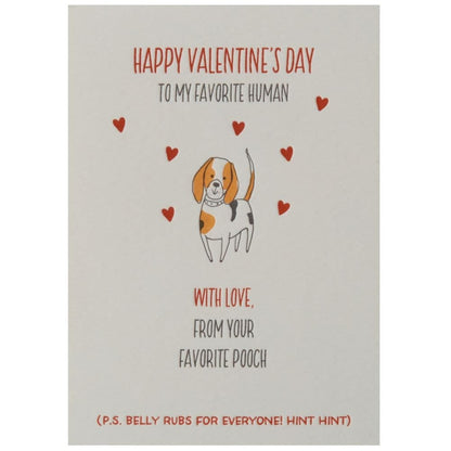 From Your Favorite Pooch Valentine's Day Card