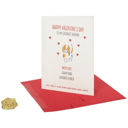 From Your Favorite Pooch Valentine's Day Card
