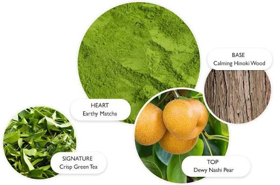 Tea Ceremony Bath & Shower Gel